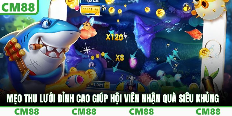 Mẹo thu lưới đỉnh cao giúp hội viên nhận quà siêu khủng